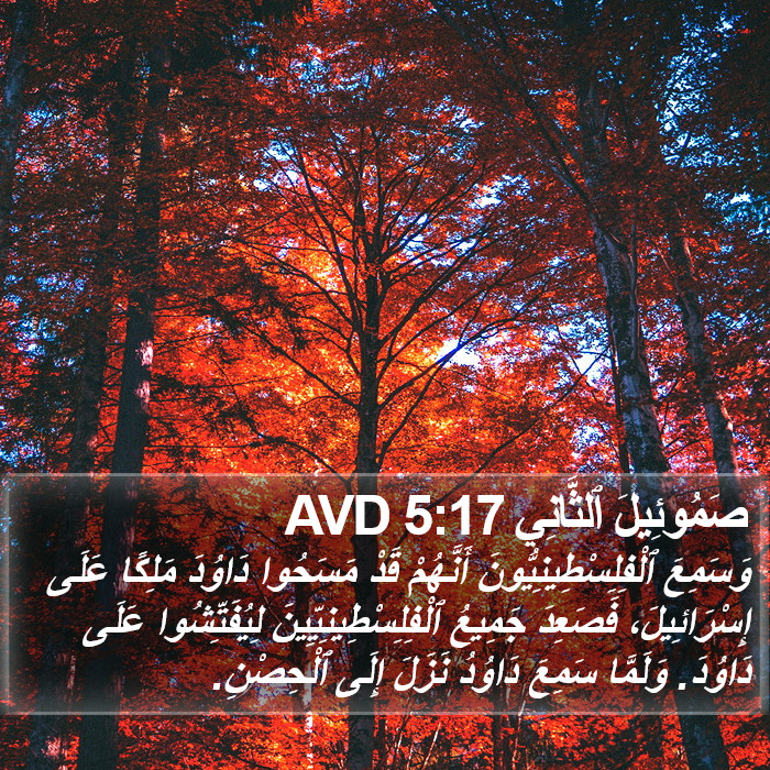 صَمُوئِيلَ ٱلثَّانِي 5:17 AVD Bible Study