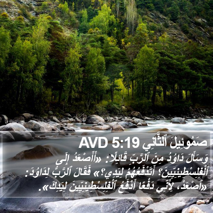 صَمُوئِيلَ ٱلثَّانِي 5:19 AVD Bible Study