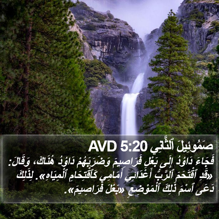 صَمُوئِيلَ ٱلثَّانِي 5:20 AVD Bible Study