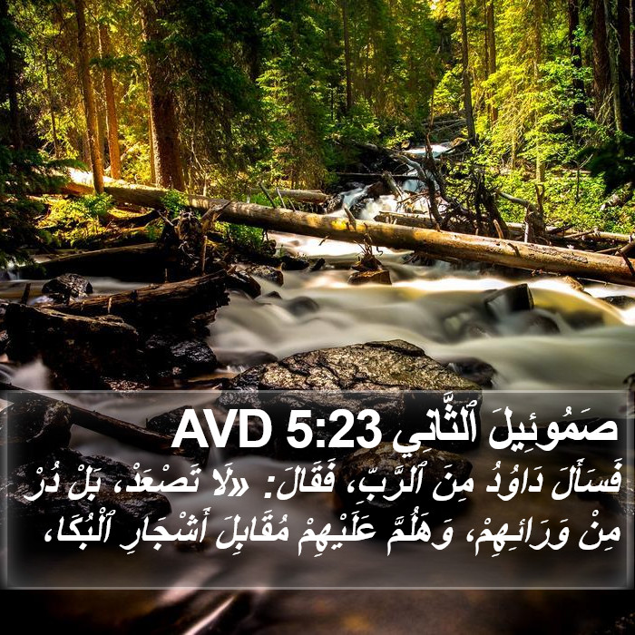 صَمُوئِيلَ ٱلثَّانِي 5:23 AVD Bible Study