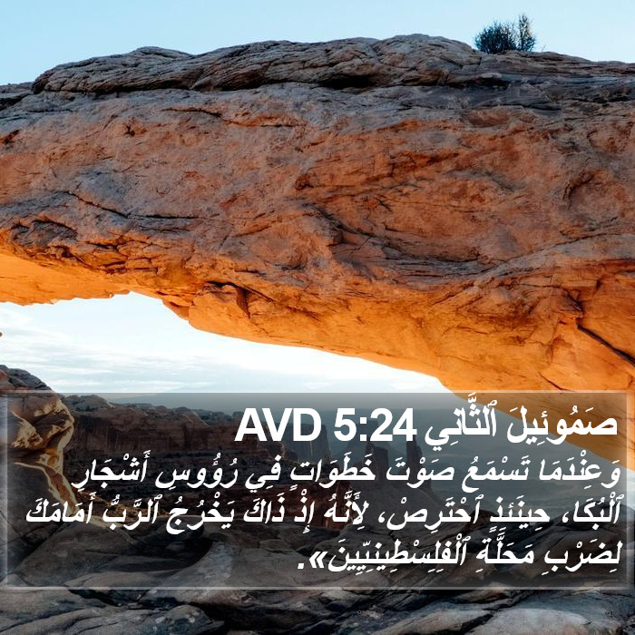 صَمُوئِيلَ ٱلثَّانِي 5:24 AVD Bible Study