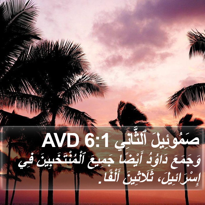 صَمُوئِيلَ ٱلثَّانِي 6:1 AVD Bible Study