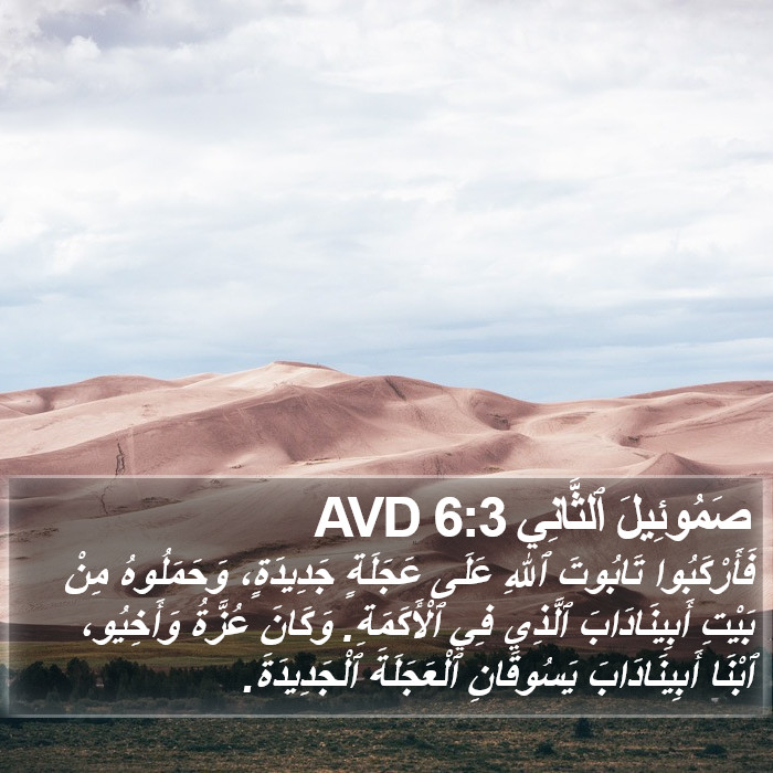 صَمُوئِيلَ ٱلثَّانِي 6:3 AVD Bible Study