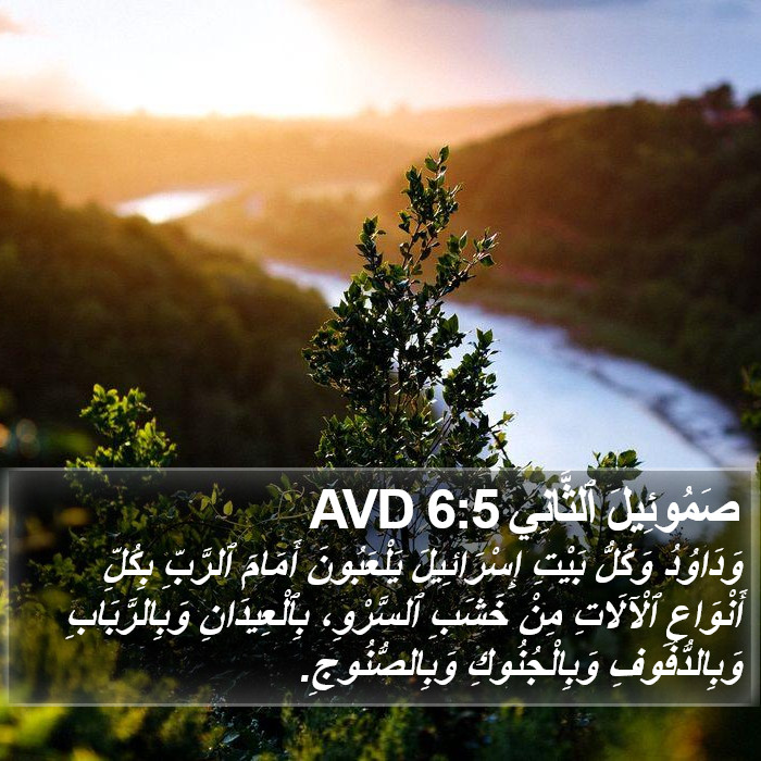 صَمُوئِيلَ ٱلثَّانِي 6:5 AVD Bible Study