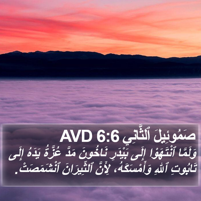 صَمُوئِيلَ ٱلثَّانِي 6:6 AVD Bible Study