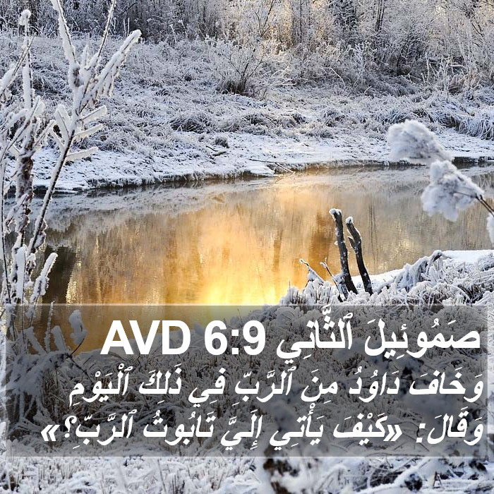 صَمُوئِيلَ ٱلثَّانِي 6:9 AVD Bible Study