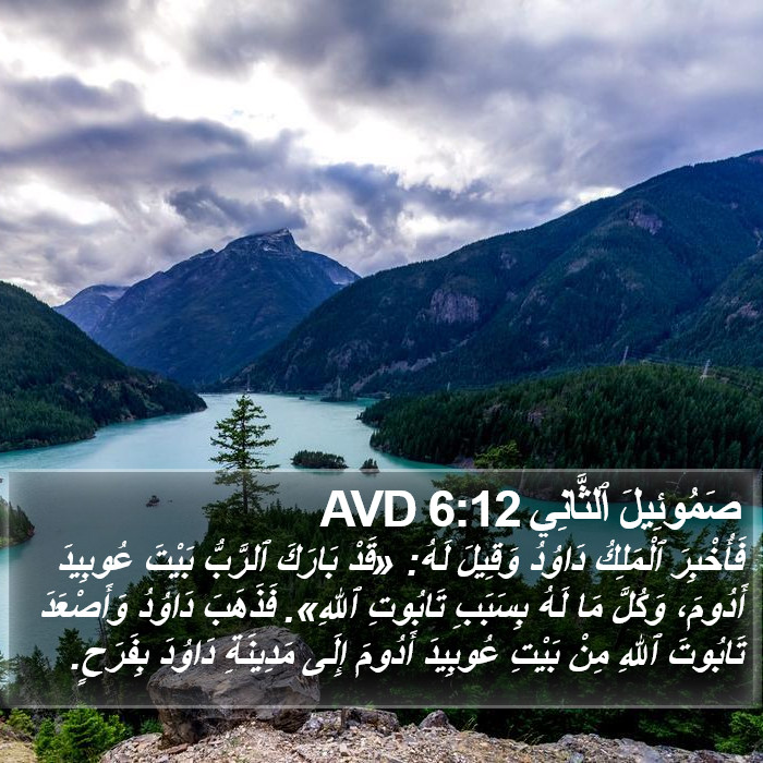 صَمُوئِيلَ ٱلثَّانِي 6:12 AVD Bible Study