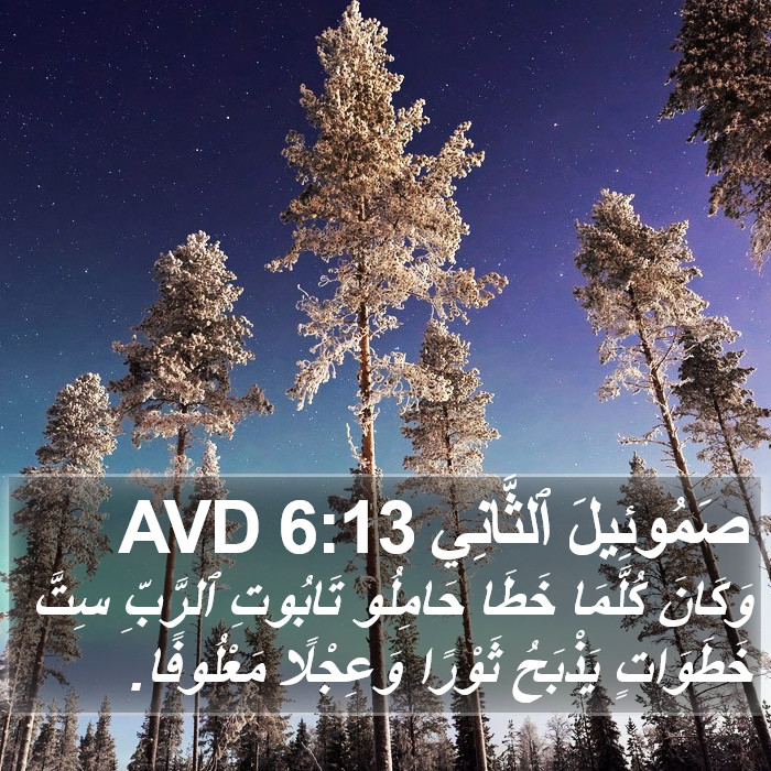 صَمُوئِيلَ ٱلثَّانِي 6:13 AVD Bible Study