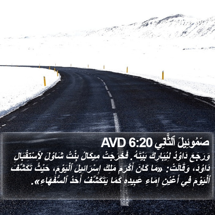 صَمُوئِيلَ ٱلثَّانِي 6:20 AVD Bible Study