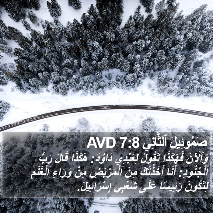 صَمُوئِيلَ ٱلثَّانِي 7:8 AVD Bible Study