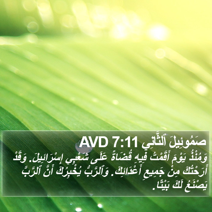 صَمُوئِيلَ ٱلثَّانِي 7:11 AVD Bible Study