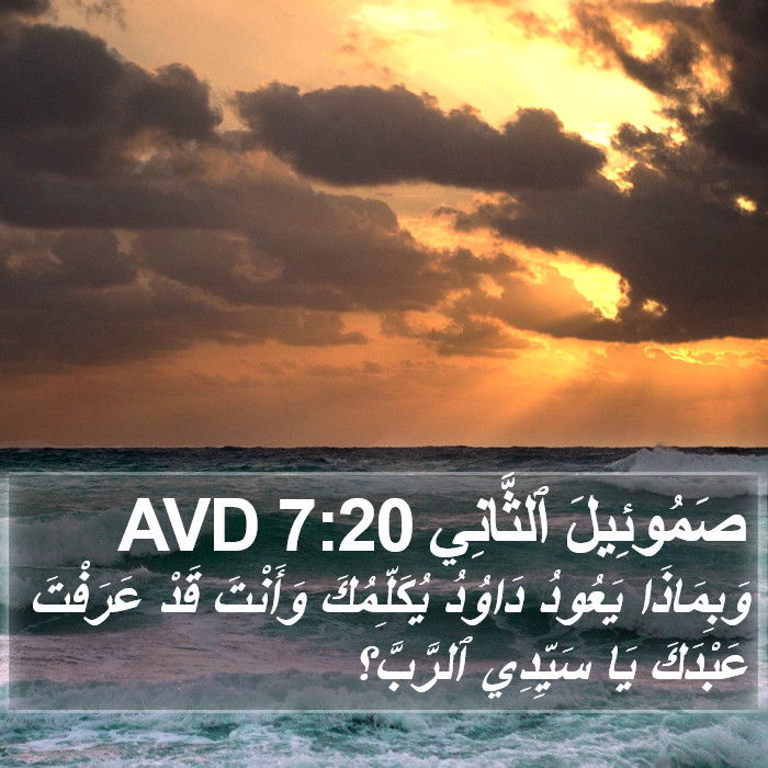 صَمُوئِيلَ ٱلثَّانِي 7:20 AVD Bible Study