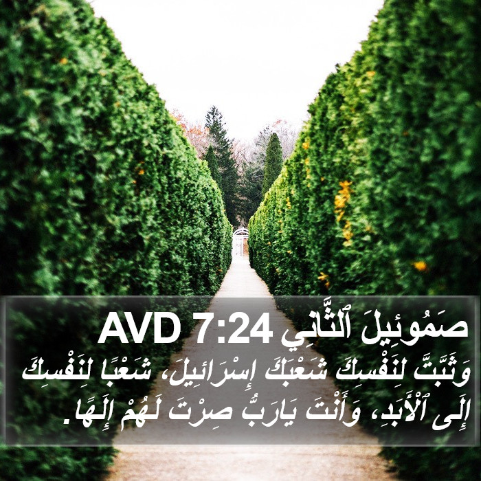 صَمُوئِيلَ ٱلثَّانِي 7:24 AVD Bible Study