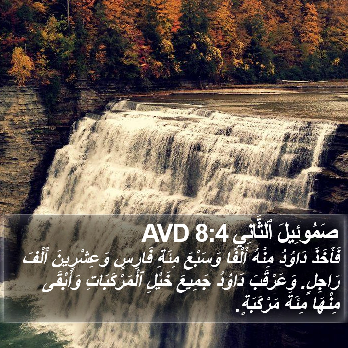 صَمُوئِيلَ ٱلثَّانِي 8:4 AVD Bible Study