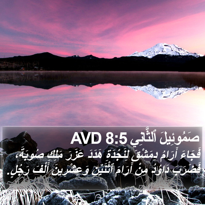 صَمُوئِيلَ ٱلثَّانِي 8:5 AVD Bible Study