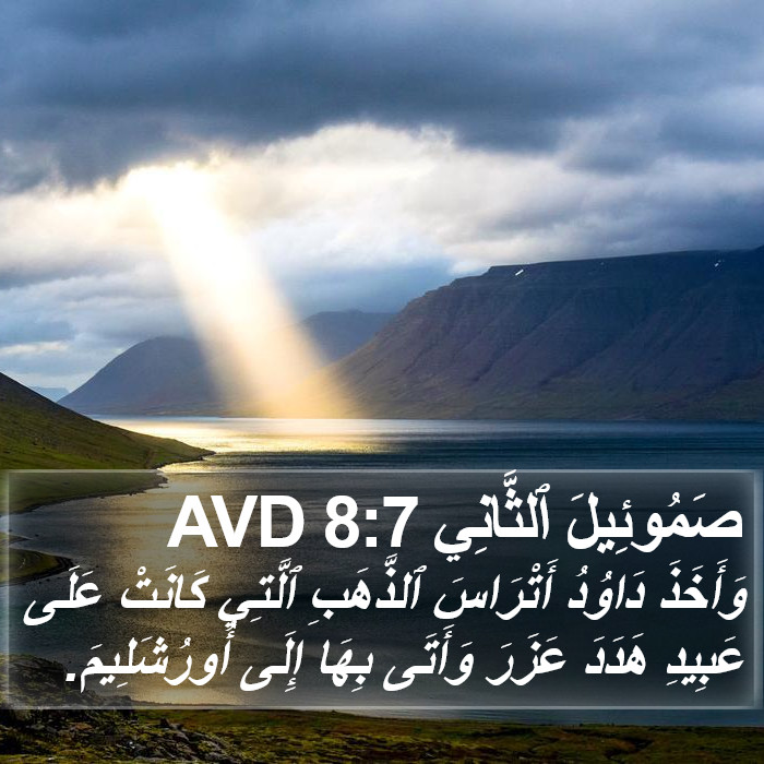 صَمُوئِيلَ ٱلثَّانِي 8:7 AVD Bible Study