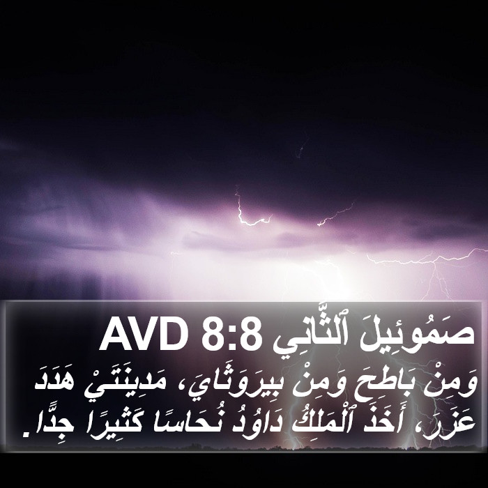 صَمُوئِيلَ ٱلثَّانِي 8:8 AVD Bible Study