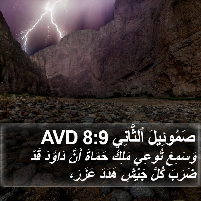 صَمُوئِيلَ ٱلثَّانِي 8:9 AVD Bible Study
