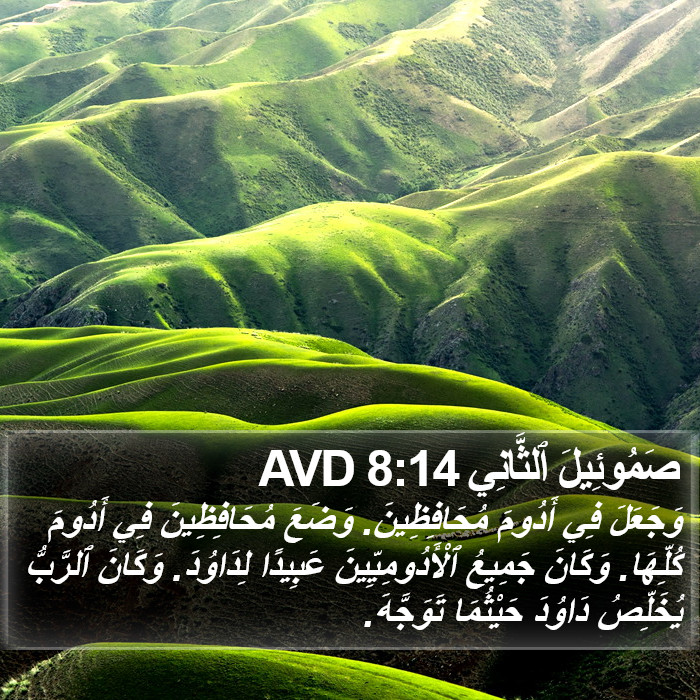 صَمُوئِيلَ ٱلثَّانِي 8:14 AVD Bible Study