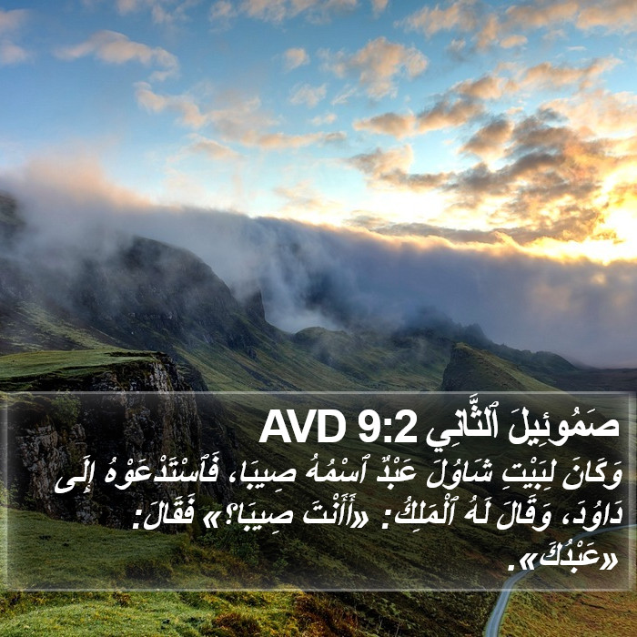 صَمُوئِيلَ ٱلثَّانِي 9:2 AVD Bible Study