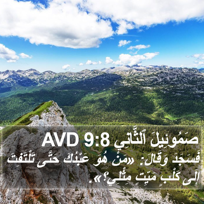 صَمُوئِيلَ ٱلثَّانِي 9:8 AVD Bible Study