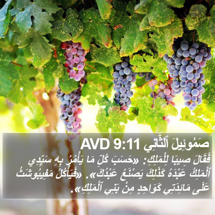 صَمُوئِيلَ ٱلثَّانِي 9:11 AVD Bible Study