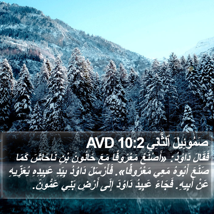 صَمُوئِيلَ ٱلثَّانِي 10:2 AVD Bible Study