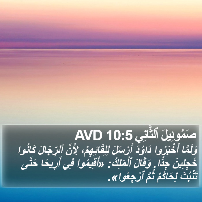 صَمُوئِيلَ ٱلثَّانِي 10:5 AVD Bible Study