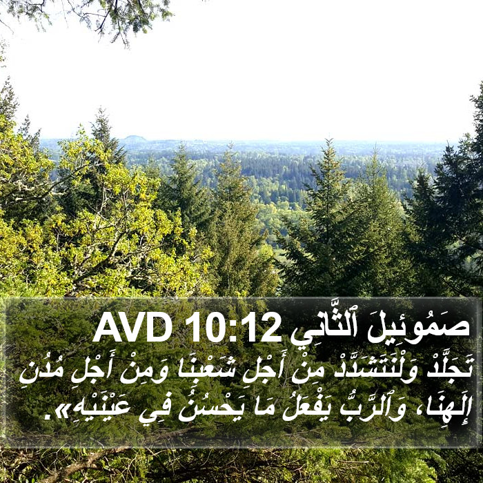 صَمُوئِيلَ ٱلثَّانِي 10:12 AVD Bible Study