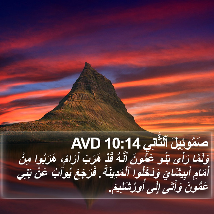 صَمُوئِيلَ ٱلثَّانِي 10:14 AVD Bible Study