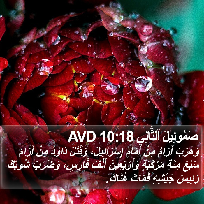 صَمُوئِيلَ ٱلثَّانِي 10:18 AVD Bible Study