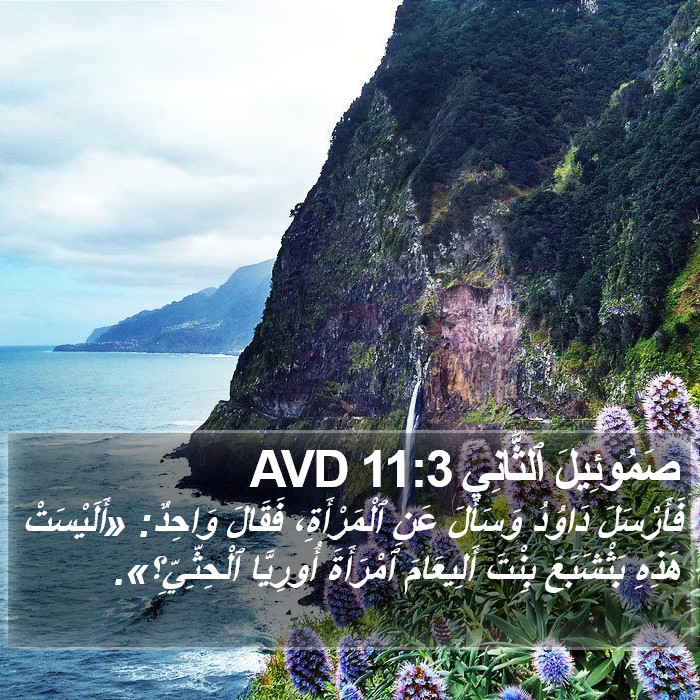 صَمُوئِيلَ ٱلثَّانِي 11:3 AVD Bible Study