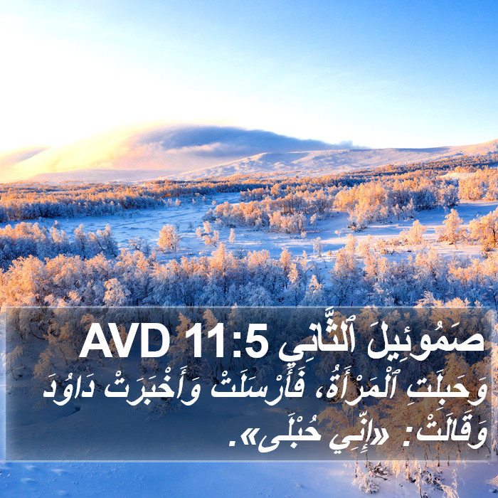 صَمُوئِيلَ ٱلثَّانِي 11:5 AVD Bible Study