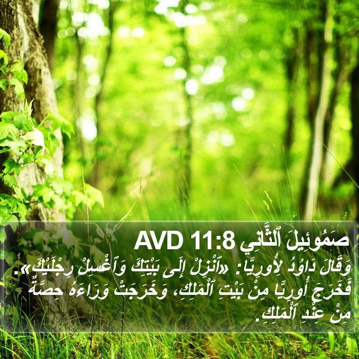 صَمُوئِيلَ ٱلثَّانِي 11:8 AVD Bible Study