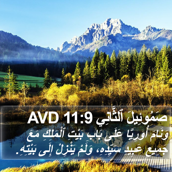 صَمُوئِيلَ ٱلثَّانِي 11:9 AVD Bible Study