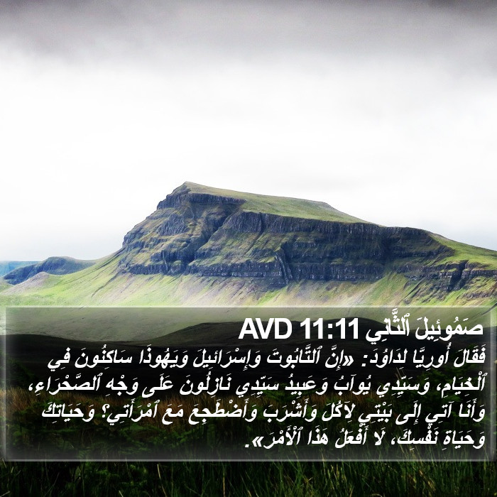 صَمُوئِيلَ ٱلثَّانِي 11:11 AVD Bible Study