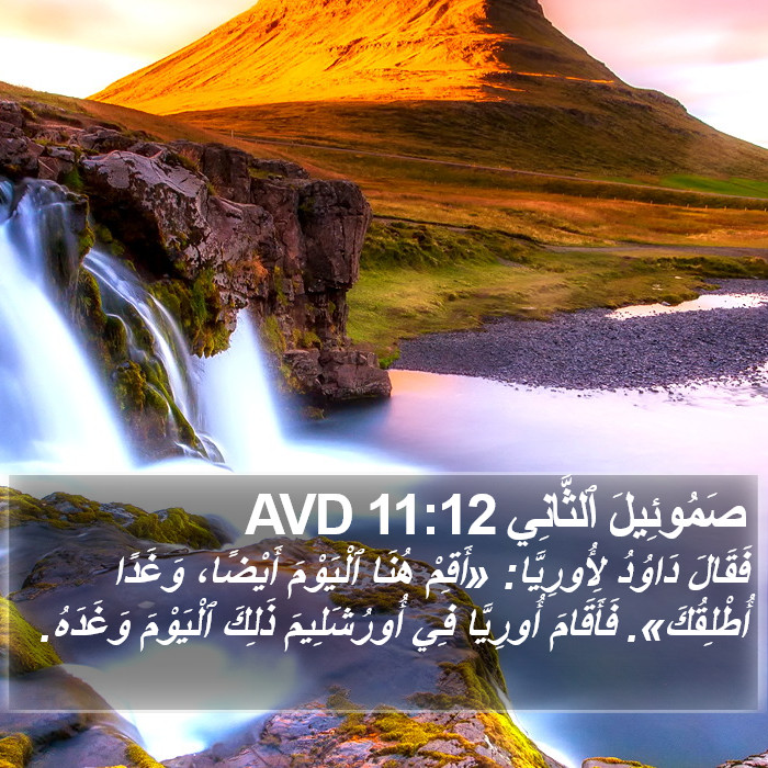 صَمُوئِيلَ ٱلثَّانِي 11:12 AVD Bible Study
