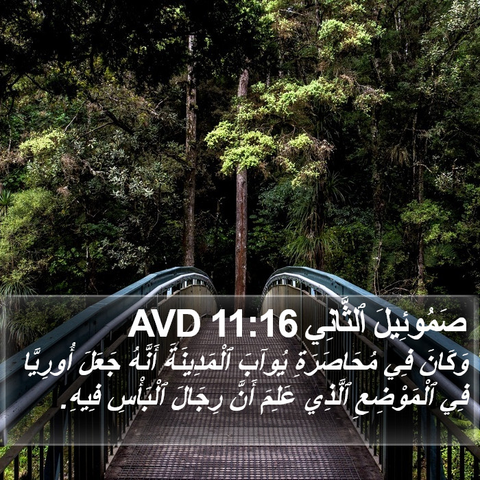 صَمُوئِيلَ ٱلثَّانِي 11:16 AVD Bible Study