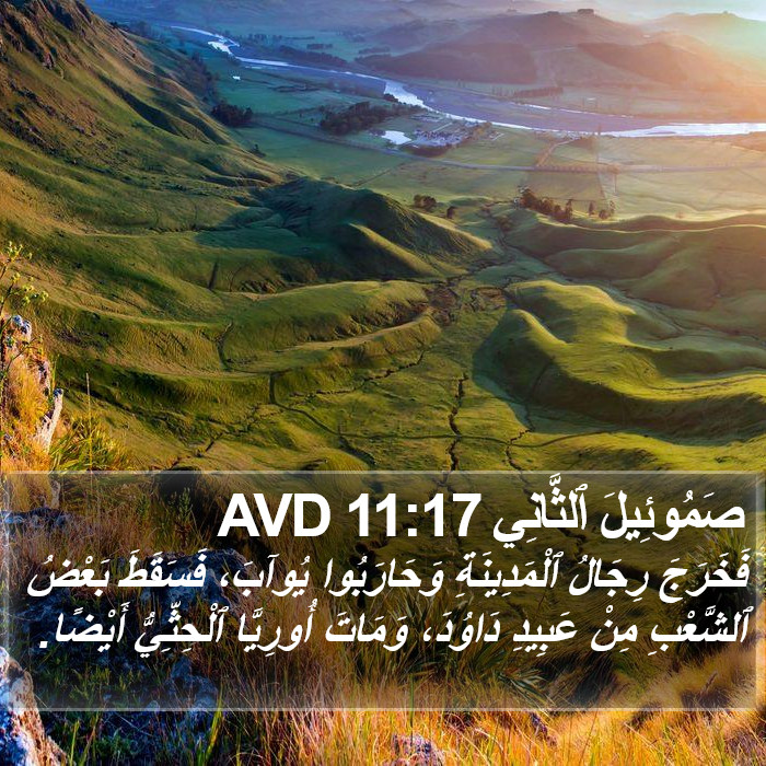 صَمُوئِيلَ ٱلثَّانِي 11:17 AVD Bible Study