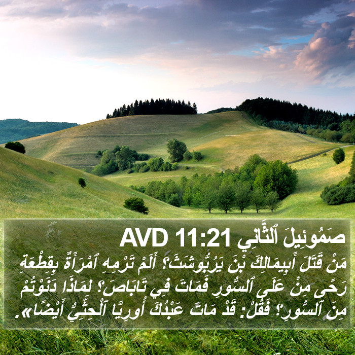 صَمُوئِيلَ ٱلثَّانِي 11:21 AVD Bible Study