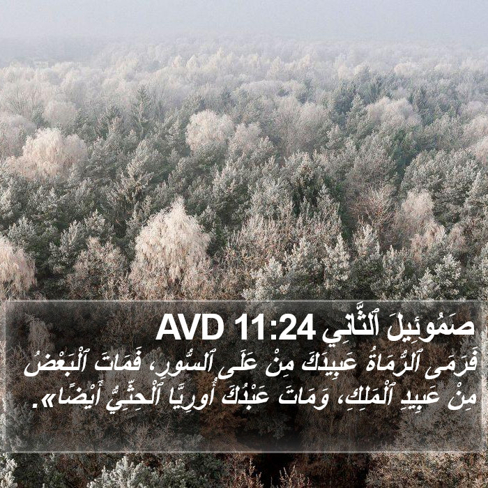 صَمُوئِيلَ ٱلثَّانِي 11:24 AVD Bible Study