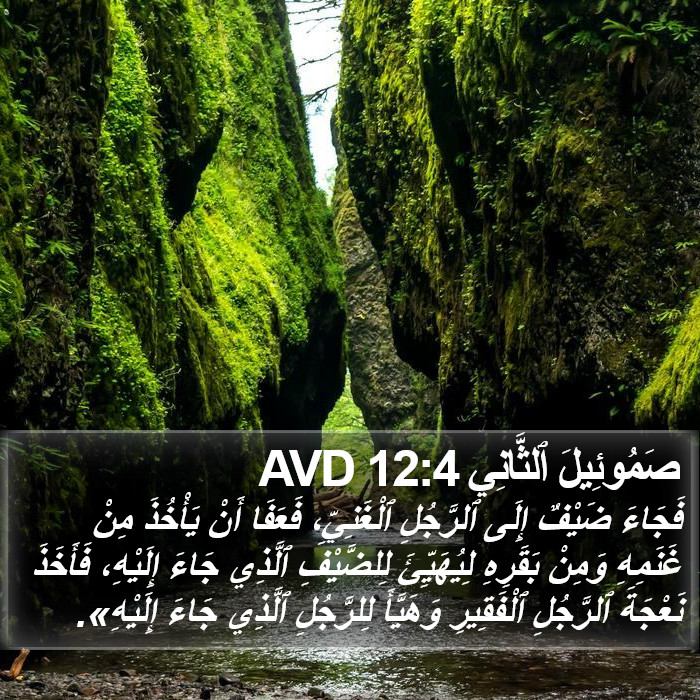 صَمُوئِيلَ ٱلثَّانِي 12:4 AVD Bible Study