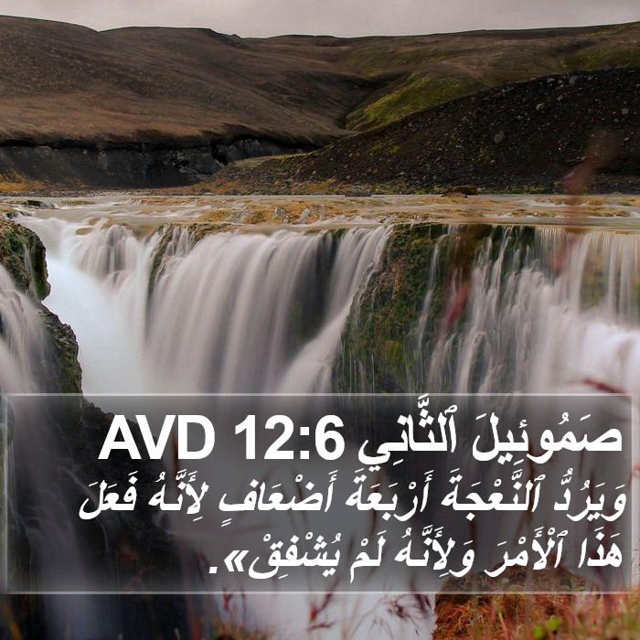 صَمُوئِيلَ ٱلثَّانِي 12:6 AVD Bible Study