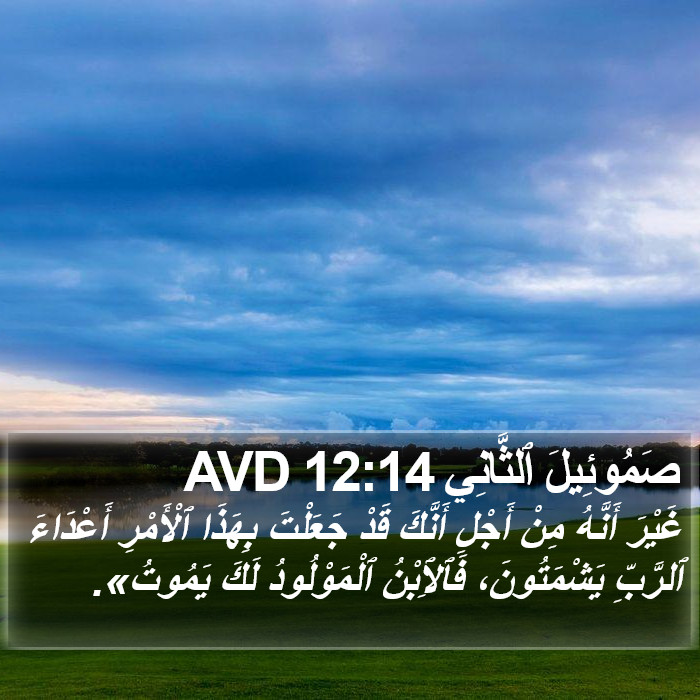 صَمُوئِيلَ ٱلثَّانِي 12:14 AVD Bible Study