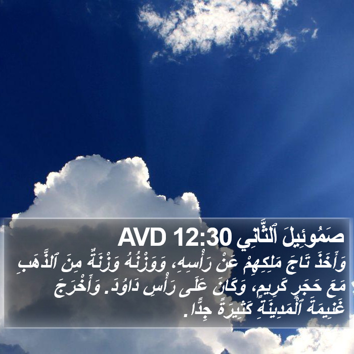 صَمُوئِيلَ ٱلثَّانِي 12:30 AVD Bible Study