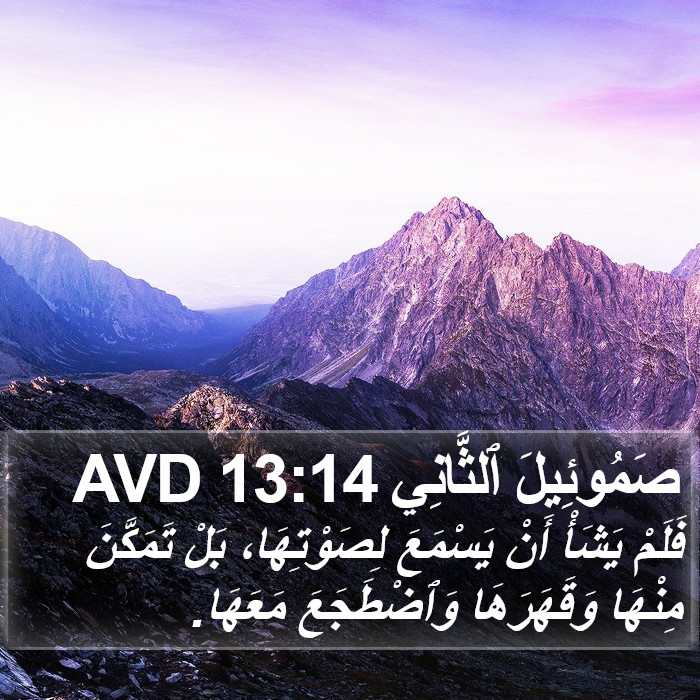 صَمُوئِيلَ ٱلثَّانِي 13:14 AVD Bible Study