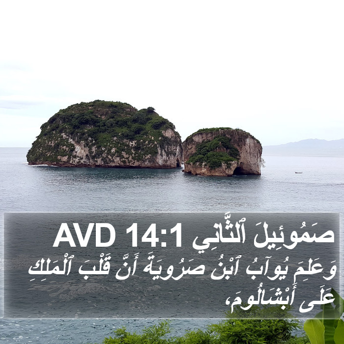 صَمُوئِيلَ ٱلثَّانِي 14:1 AVD Bible Study