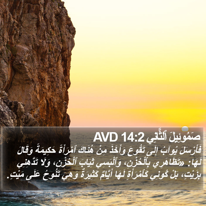 صَمُوئِيلَ ٱلثَّانِي 14:2 AVD Bible Study