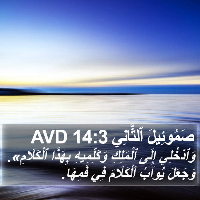 صَمُوئِيلَ ٱلثَّانِي 14:3 AVD Bible Study