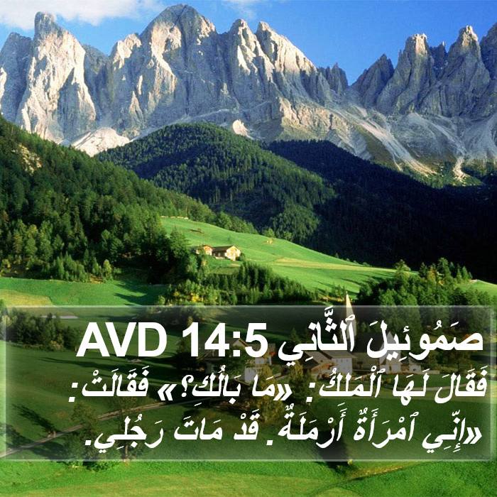 صَمُوئِيلَ ٱلثَّانِي 14:5 AVD Bible Study